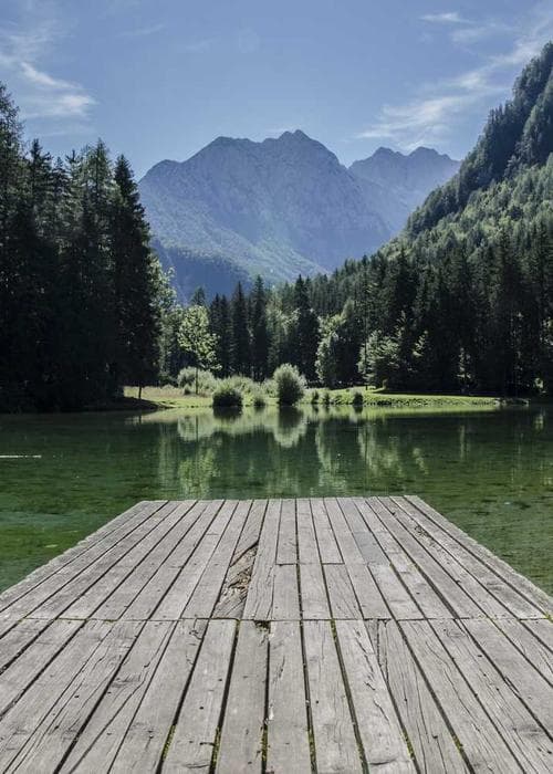 베이직 코튼 라운드 티셔츠