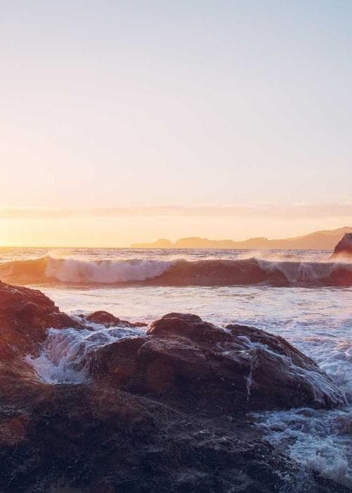 버뮤다 반바지 2