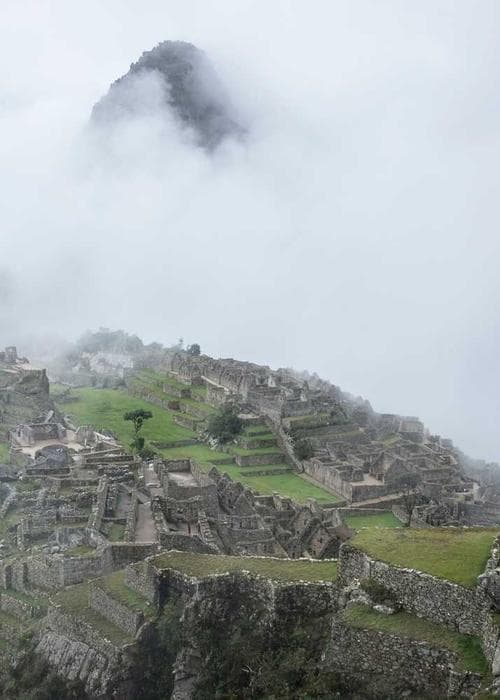 체크 블레이저&팬츠 세트