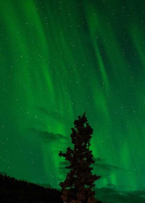 쉬폰 블라우스&미디 스커트 세트 2