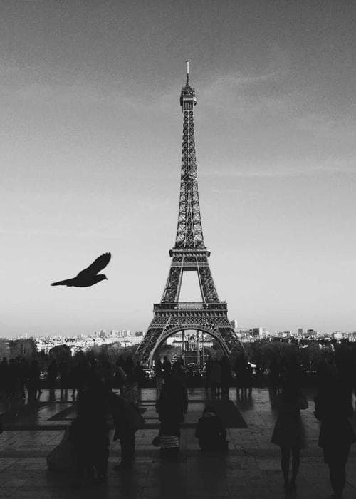 클래식 블랙 수트 세트 2