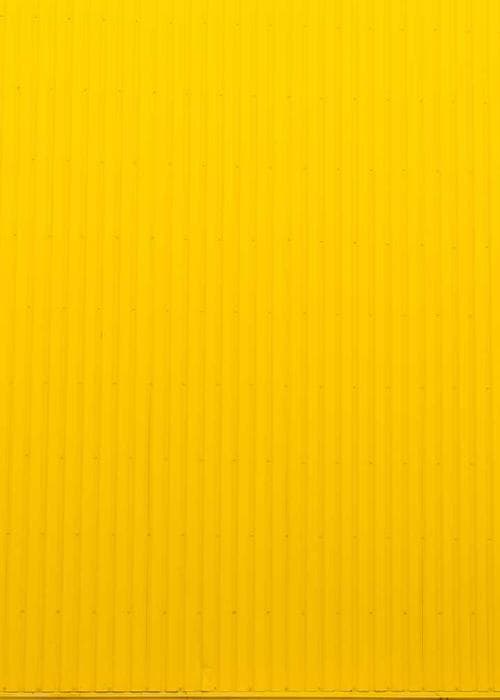 컬러 트레이닝 세트 민트