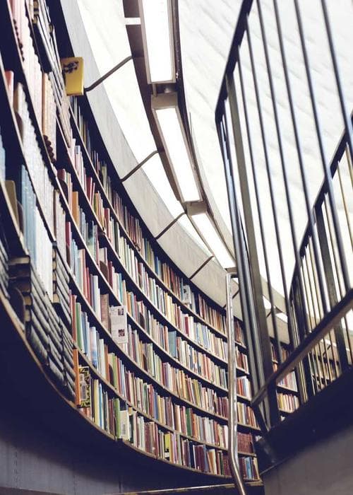 스포티 맨투맨 쿨링 트레이닝 세트 스포티 맨투맨 쿨링 트레이닝 세트 2