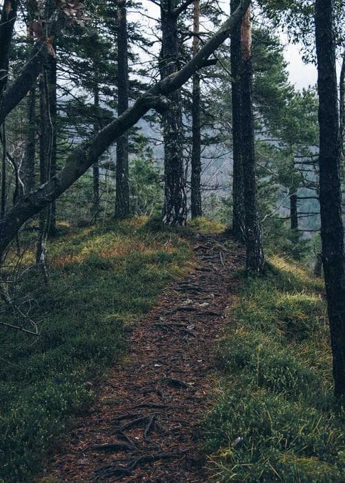 코듀로이 반바지