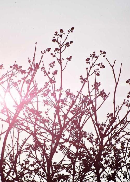 와이드 코듀로이 팬츠