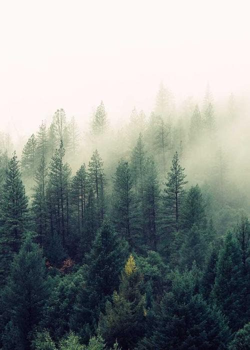 코튼 트레이닝 세트 그레이 2