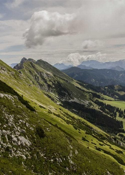 크롭 세트업 화이트