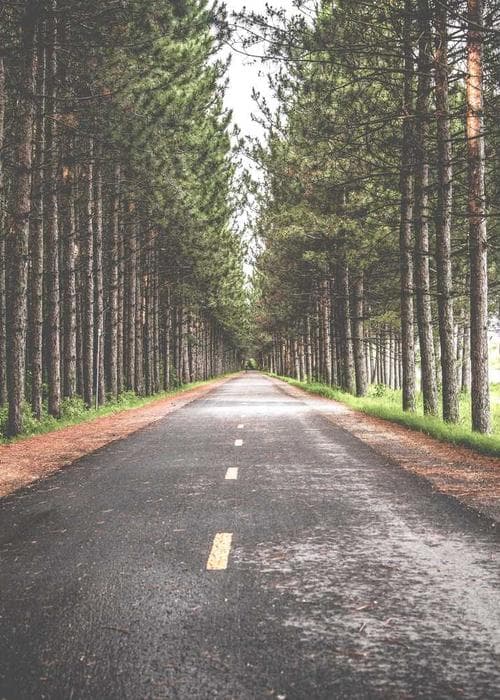 크롭 수트 세트 블랙