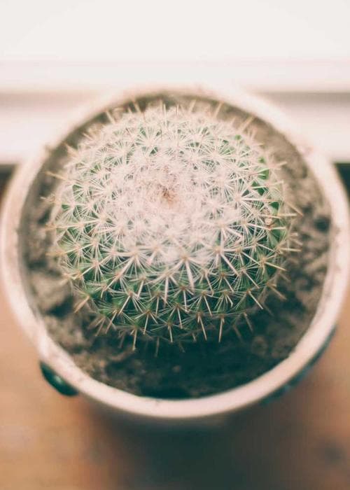 데님 자켓&스커트 세트 2