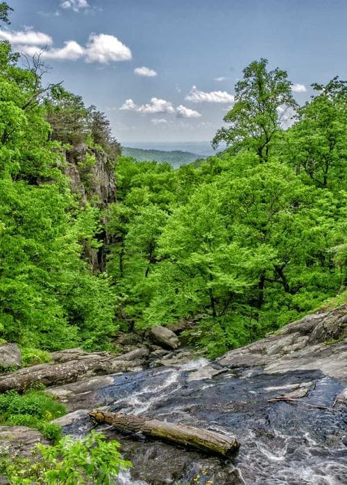 플리스 트레이닝 세트