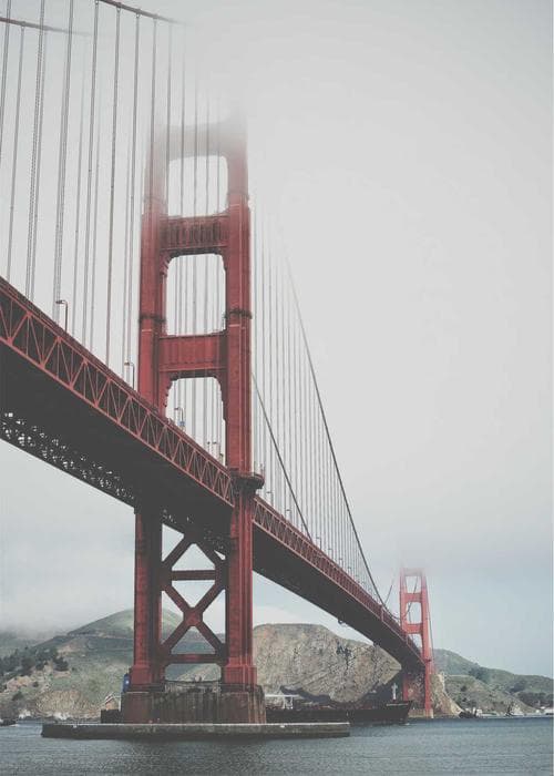 플로럴 미디 원피스 2