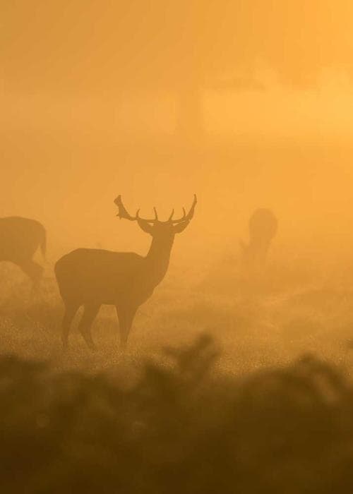 스트릿 그래픽 맨투맨 2