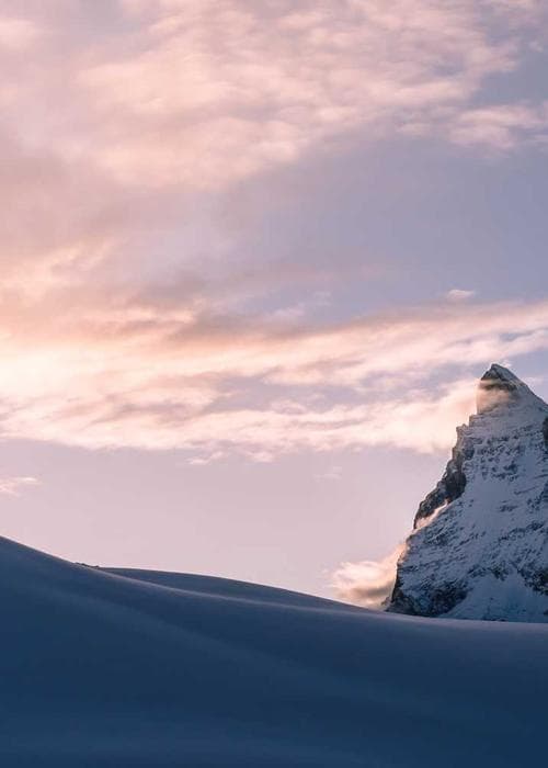 하이웨이스트 반바지