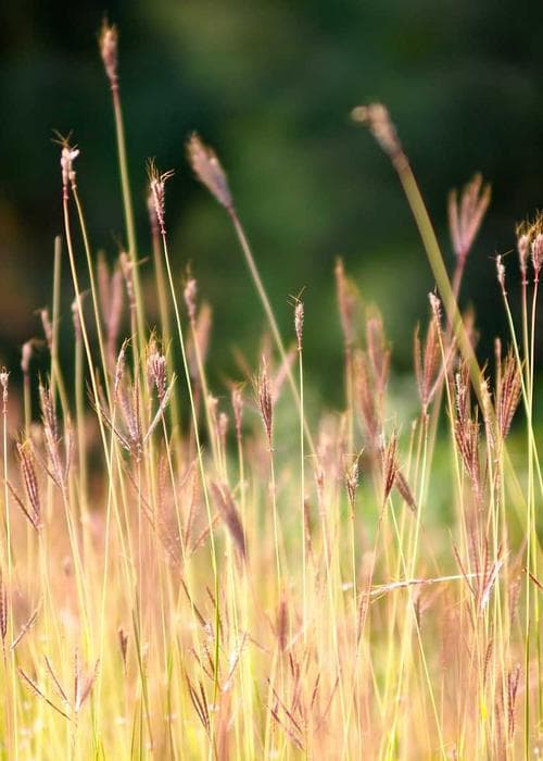 캐주얼 후드&조거팬츠 세트