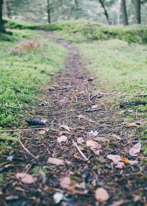 후드 트레이닝 세트 블랙