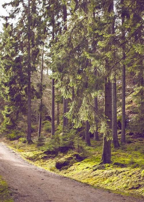 니트 탑&스커트 세트