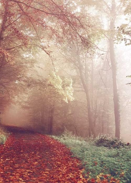 니트 탑&스커트 세트 2