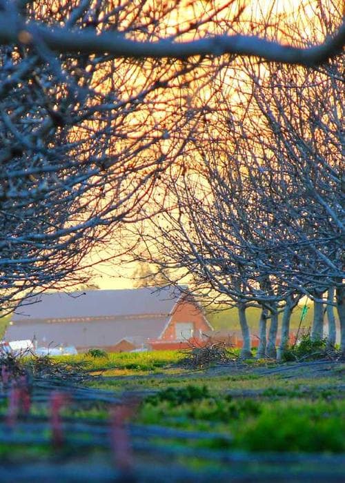 린넨 크롭 탑&와이드 팬츠 세트