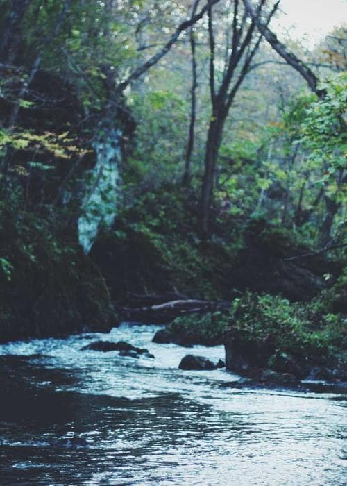 린넨 셔츠 원피스 2