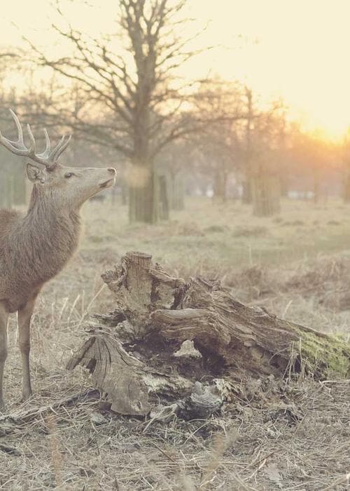 린넨 와이드 팬츠 2