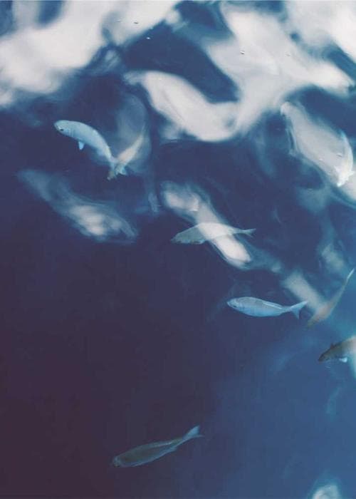 로고 트레이닝 세트 로고 트레이닝 세트 로고 트레이닝 세트 로고 트레이닝 세트 2