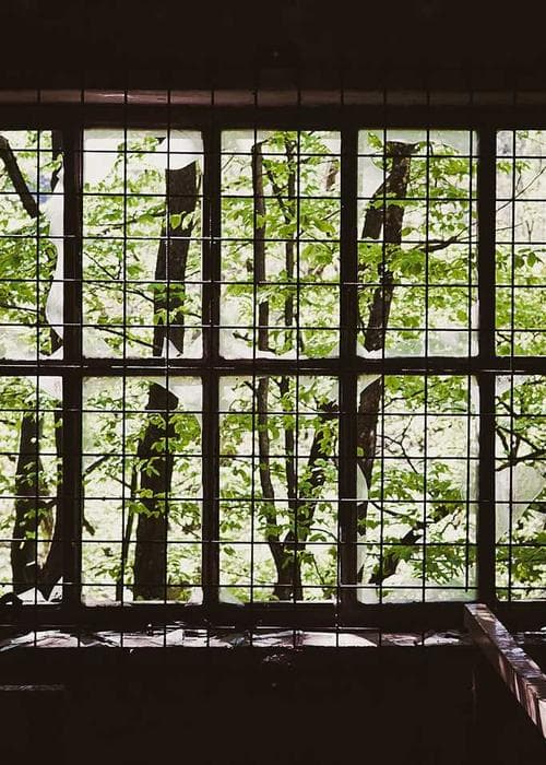 핀스트라이프 수트 세트 2