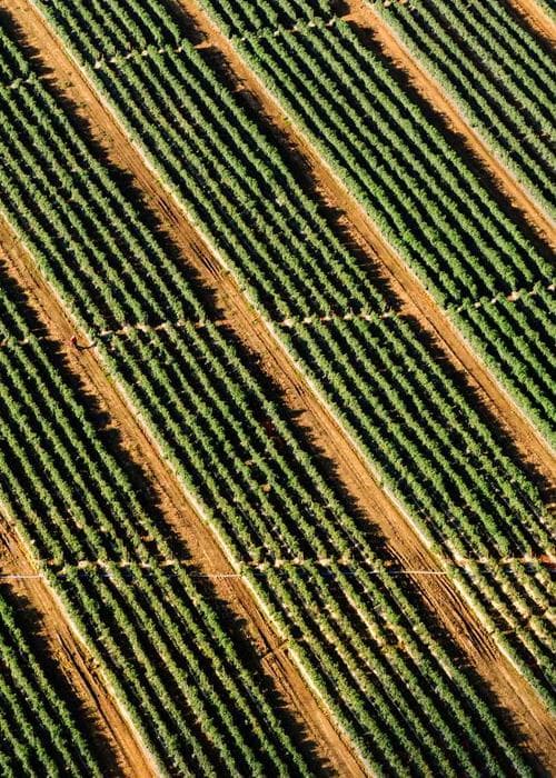 실크 캐미솔 탑 2