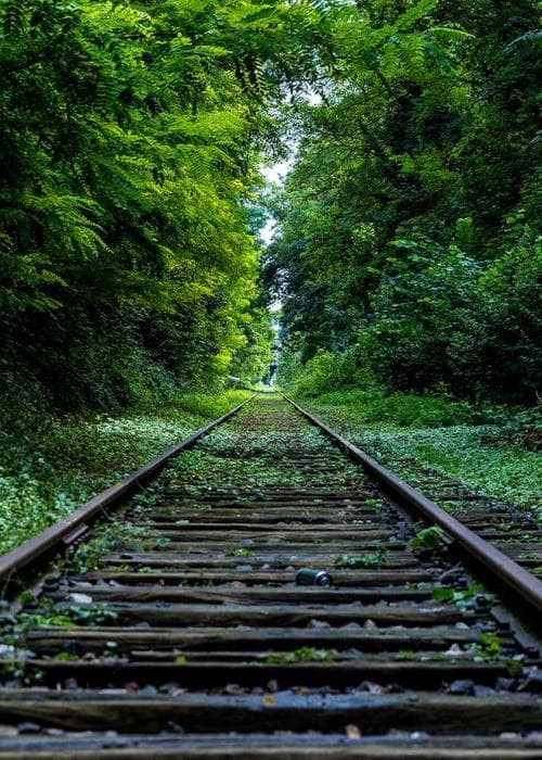 스포츠 반바지 2