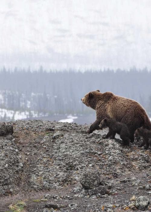 스포티 집업&레깅스 세트 2