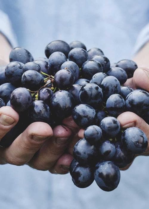 스포티 트레이닝 세트