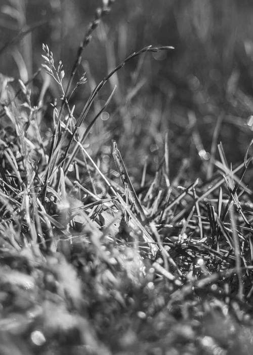 스포티 트레이닝 세트 2