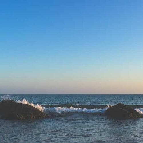 유기농 그린 티 세트