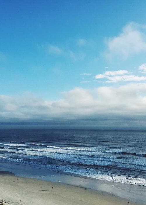 트레이닝 반바지