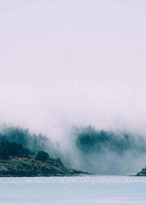 트레이닝 반바지 2