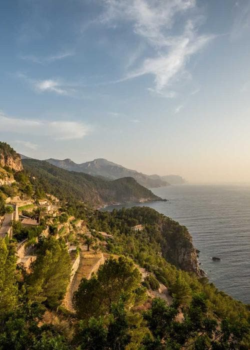 트위드 수트 세트