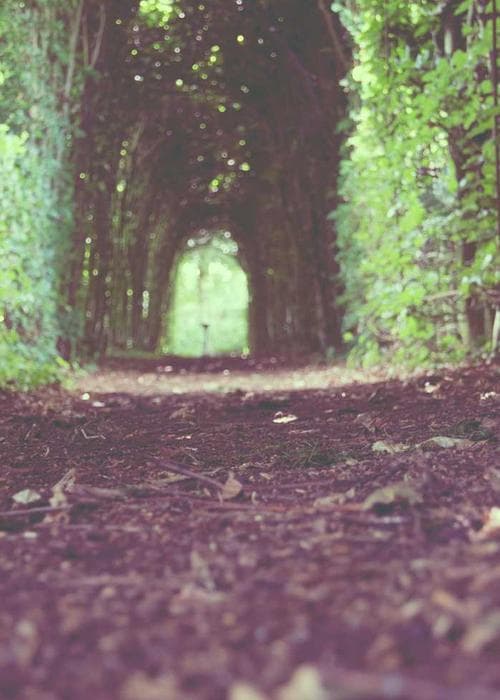 트위드 수트 세트 2