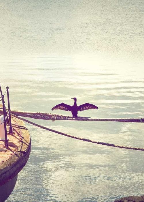 하이웨이스트 와이드 슬랙스 2